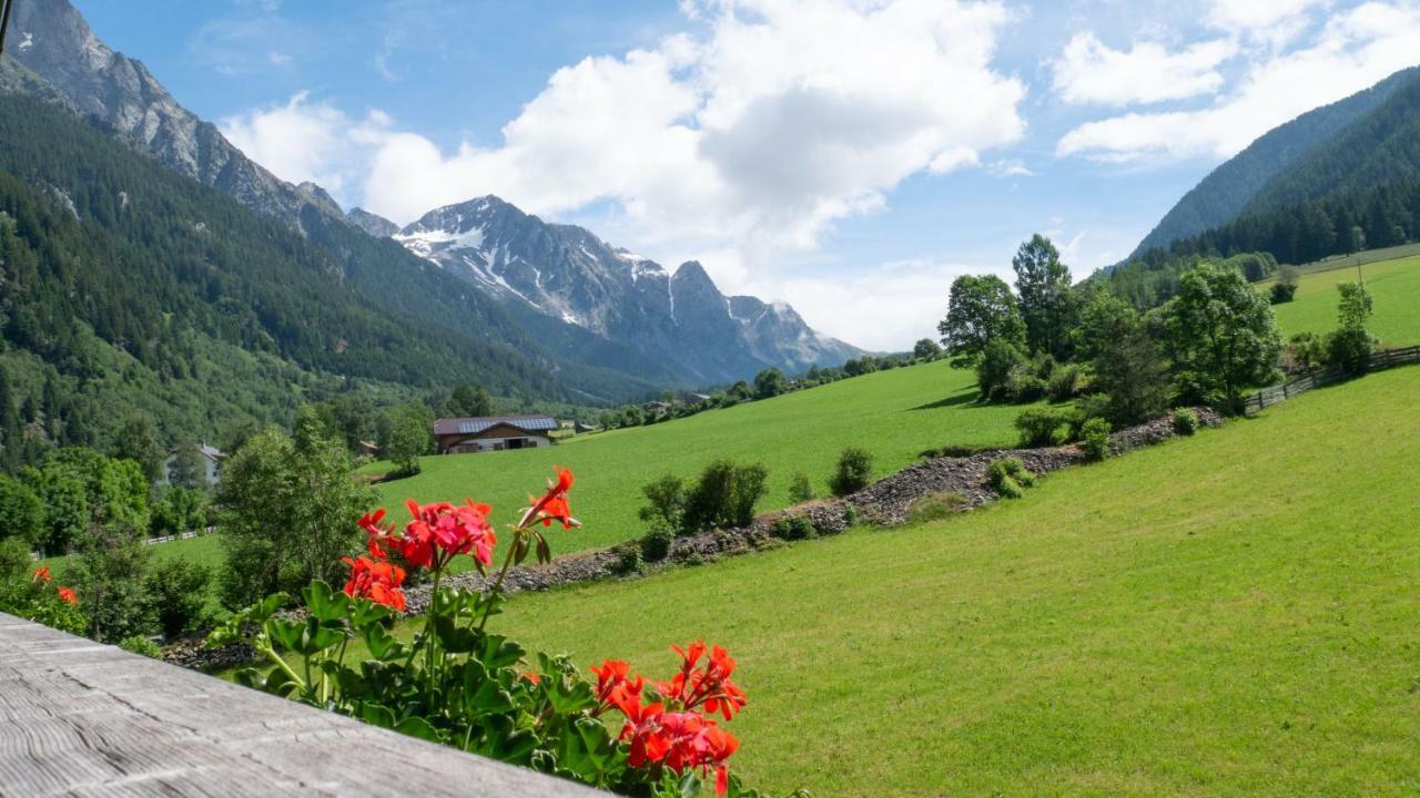 Apartments Nature Apis Landheim アンテルセルヴァ・ディ・メッツォ エクステリア 写真