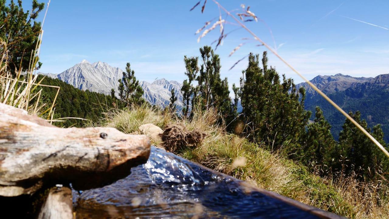 Apartments Nature Apis Landheim アンテルセルヴァ・ディ・メッツォ エクステリア 写真