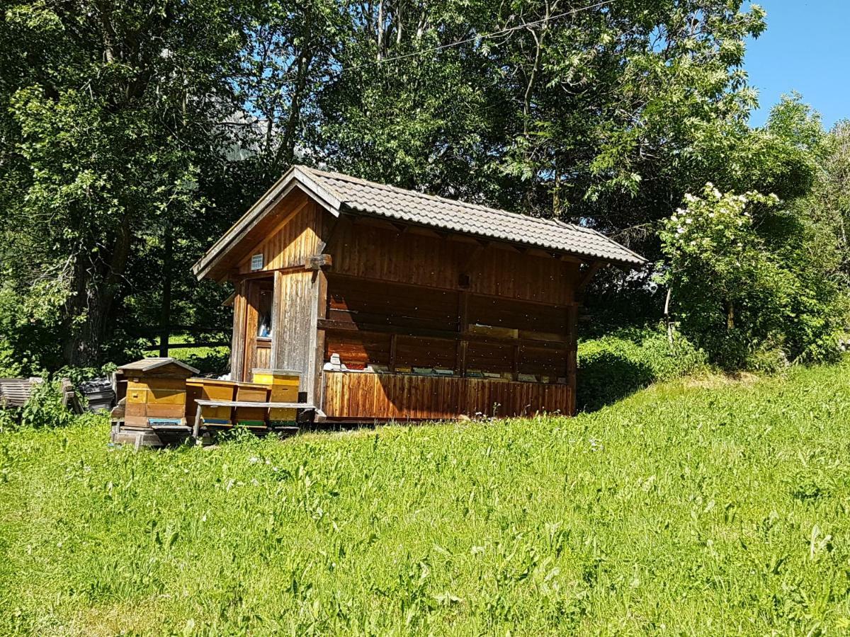 Apartments Nature Apis Landheim アンテルセルヴァ・ディ・メッツォ エクステリア 写真